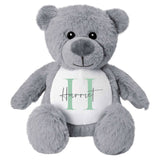 Name & Initial Grey Bear - Green, Pink, Blue, Neutral